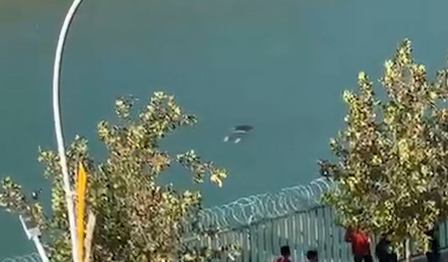 Sulama kanalında yaşamını yitirdi