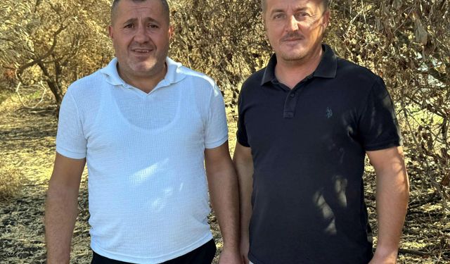 Tekirdağ'da yanan orman temizleniyor, kesilen ağaçlar istifleniyor