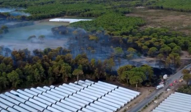 Yangının boyutu gündüz ortaya çıktı!