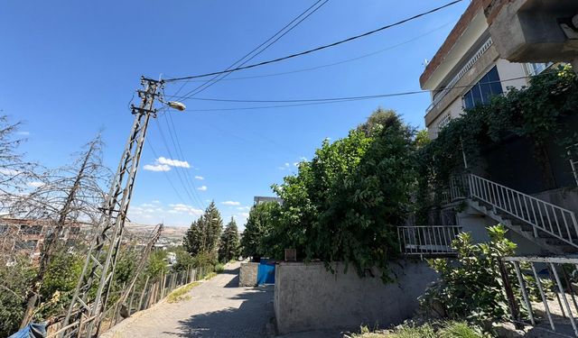 Yerde Hareketsiz Yatan Keçiden Akıma Kapıldı