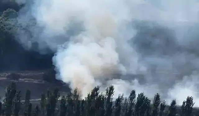 Diyarbakır'da anız yangını