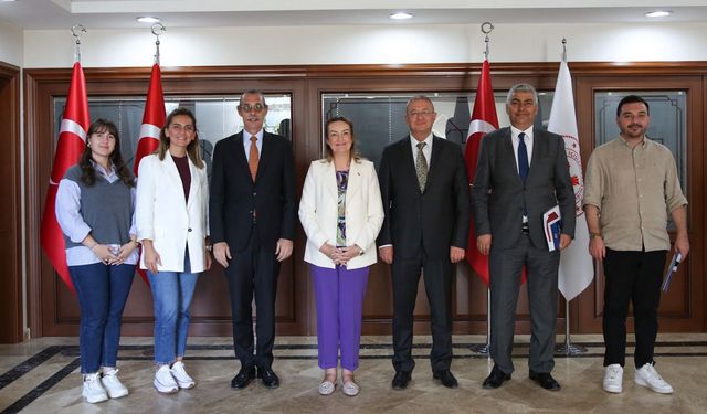 Etimesgut'ta sokak hayvanları için çözüm arayışı