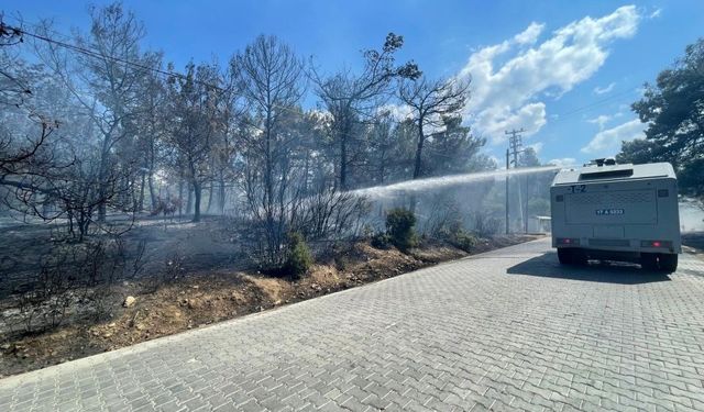 Çanakkale'deki orman yangını kontrol altına alındı