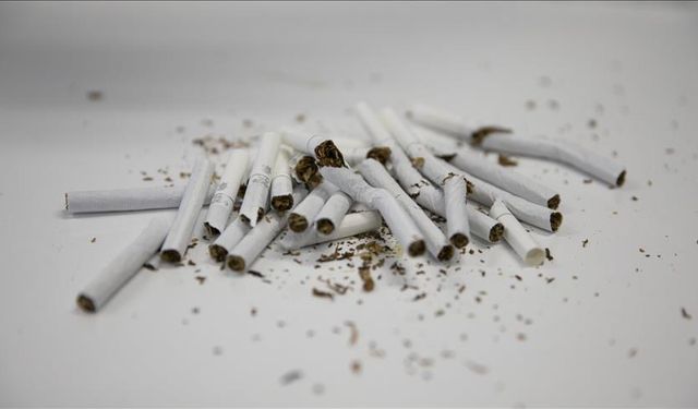 Kaçak tütün operasyonu