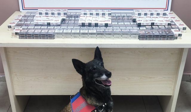 Kayseri'de kaçak sigara ele geçirildi