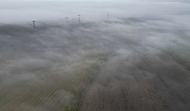 Tekirdağ'da sis etkisini gösterdi