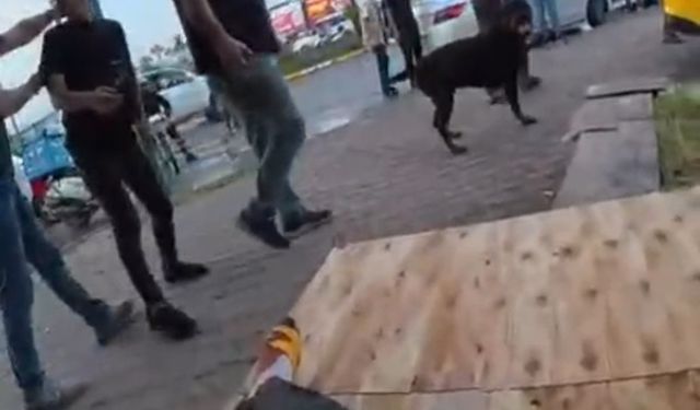 Ağızlıksız Dolaştırılan Köpek 2 Kişiyi Yaraladı