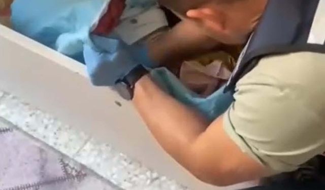 Aydın ve İzmir'de Suç Örgütü Operasyonu