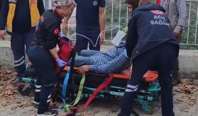 Aydın'da kamyonet uçuruma yuvarlandı