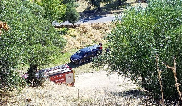 Aydın'da maki yangınında alevler zeytinliğe sıçradı