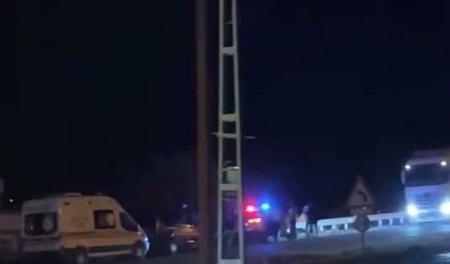 Bariyere çarpan otomobilin sürücüsü hayatını kaybetti