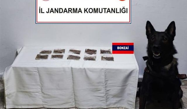 Bolu'da araçlarda uyuşturucu tespiti