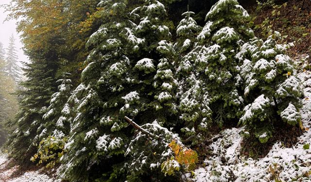 Bolu'nun Yüksek Kesimleri Kara Teslim