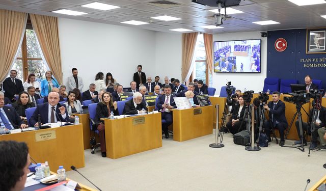 "Bütçemiz refahı toplumun tüm kesimlerine yaymayı hedeflemektedir"