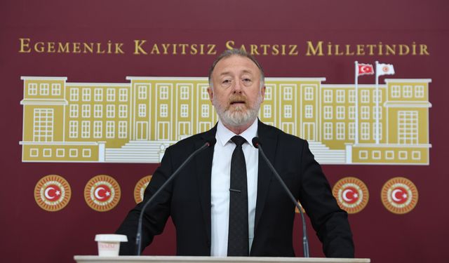 DEM Parti'li Temelli'den İmralı yorumu