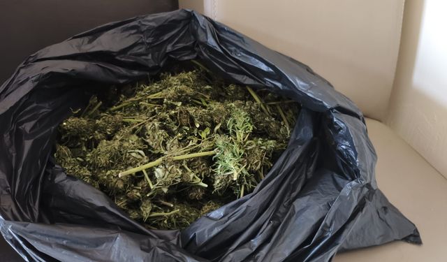 Güvercin kümesine gizlenmiş uyuşturucu bulundu