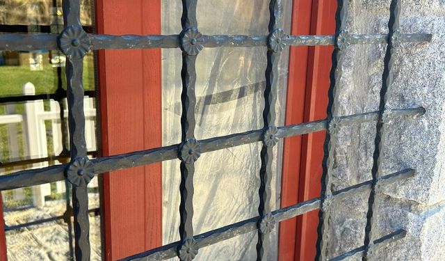 Hırsız sandı ayı çıktı