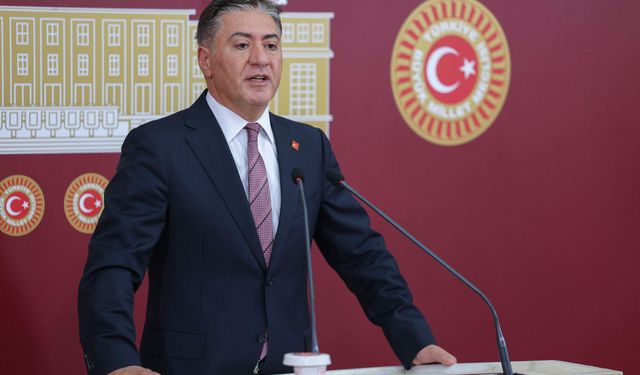 "İmralı'ya gitmekle ilgi bir konu konuşulmadı"