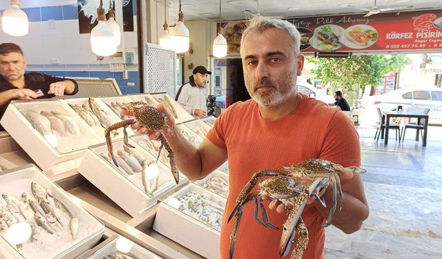 İskenderun Körfezi'nde jumbo karides bolluğu, fiyatlara yansıdı