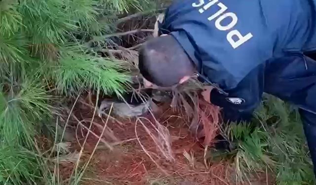 Kaçak avcılık yapan şüpheli gözaltına alındı