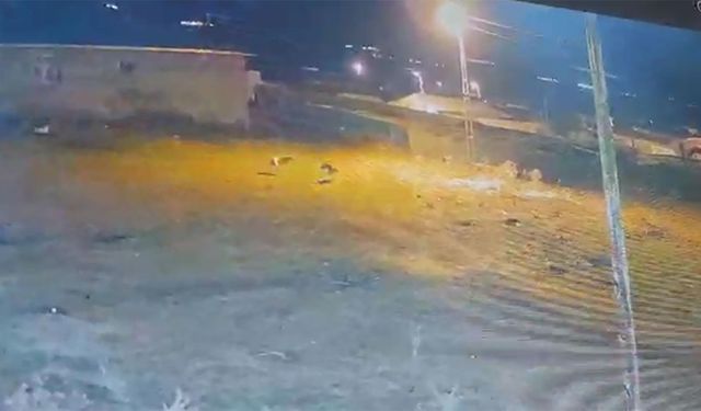 Kars'ta Kurtlar Şehre İnip Köpeğe Saldırdı