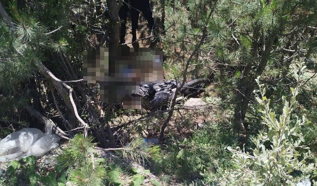 Kazadan 26 saat sonra bulunan genç, yaşama 110 gün tutunabildi