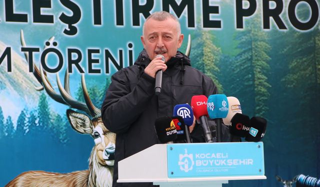 Kocaeli'de kızılgeyikler doğaya salındı