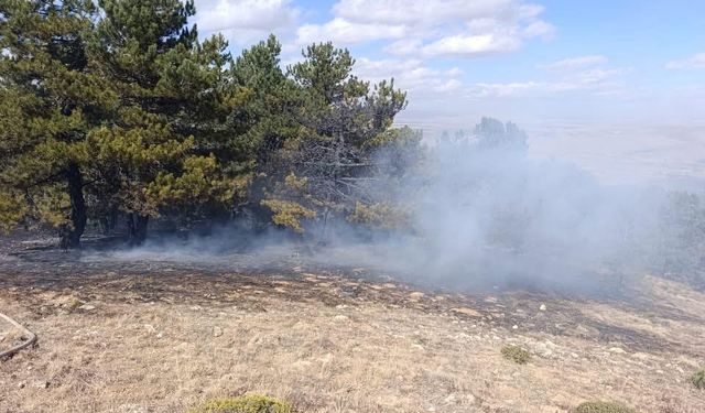 Konya'daki orman yangını kontrol altına alındı