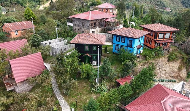 Köy hayatına teknolojik dokunuş