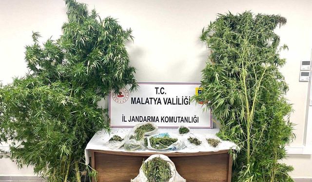 Malatya'da uyuşturucu operasyonu yapıldı