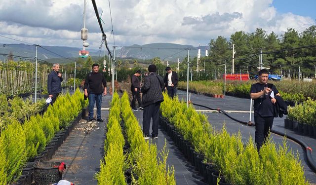 Muğla'da ormancılardan inceleme