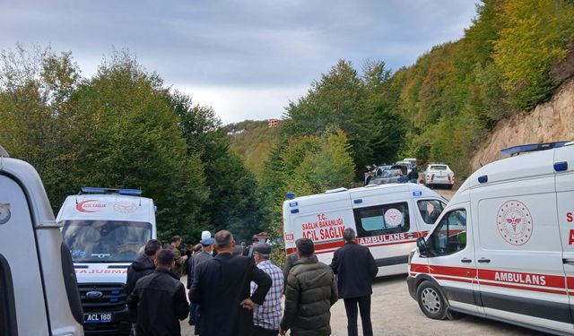 Ordu'da minibüs şarampole devrildi