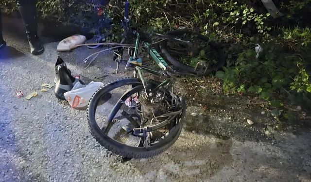 Sakarya'da can alan kaza