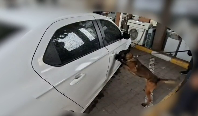 Sakarya'da uyuşturucu operasyonu