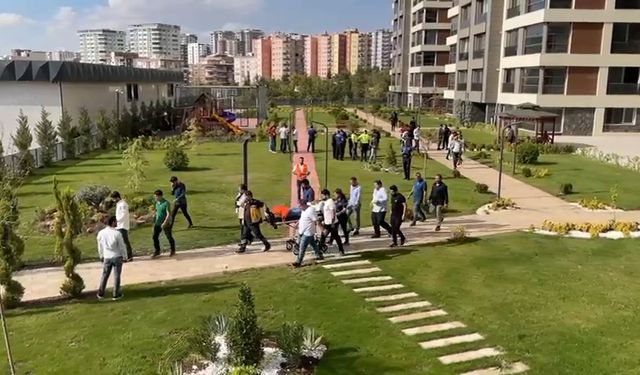 Şanlıurfa'da tekme tokatlı kavga