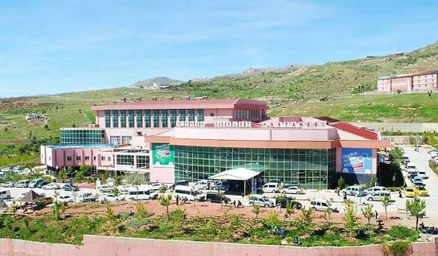 Tartışma yaşadığı çobanı vuran şahıs yakalandı