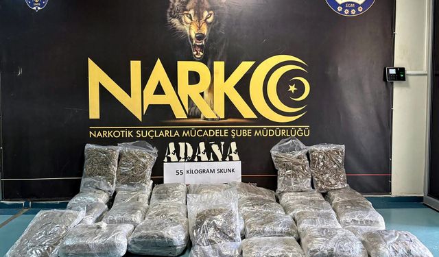 TIR'dan 55 kilo skunk çıktı
