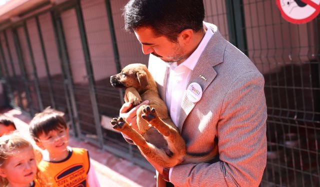 Çankaya Belediye Başkanı'ndan minik dostlara ziyaret