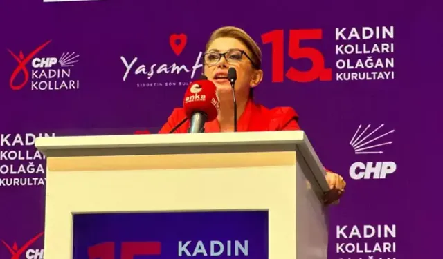 CHP’li Asu Kaya, Bakan Işıkhan’a ne sordu?