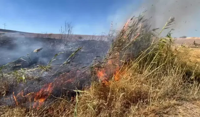 Otluk alanda yangın çıktı