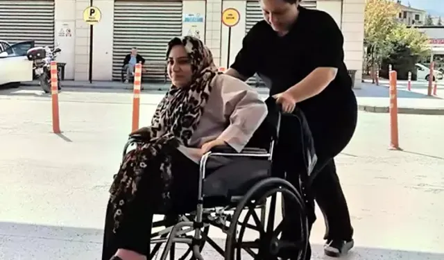 Piknik yaparken yılan ısırdı!