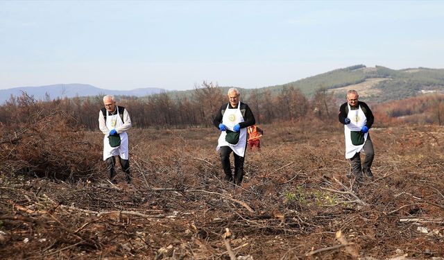 'Alev savaşçıları' fidan dikimi için sahada