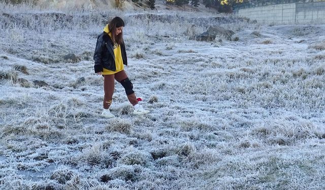 Kars soğuk hava ve kırağı etkisi altına girdi