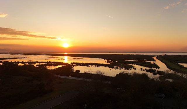 Kızılırmak  Deltası Kuş Cenneti ziyaretçilerini ağırlıyor