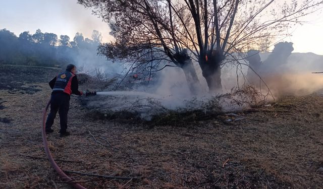 Sivas'ta anız yangını: 200 ağaç zarar gördü