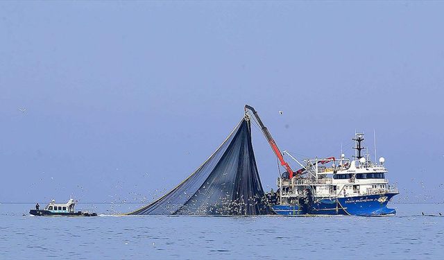 Su Sıcaklığı Düşmedi Hamsi Kaçtı