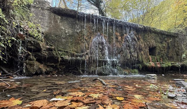 Tekirdağ'daki ormanlarda sonbahar renkleri hakim oldu