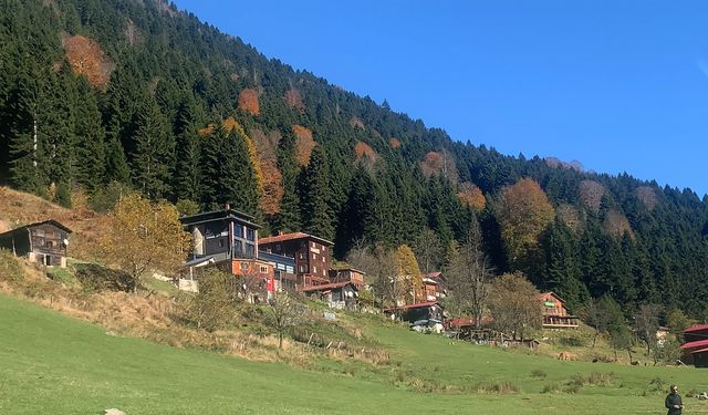 Ayder Yaylası'na teleferikli ulaşım desteği