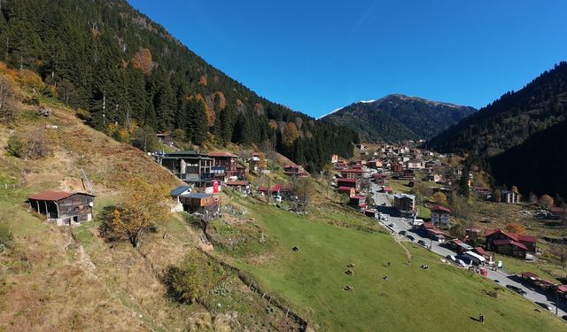 Ayder Yaylası'nda sonbaharın sakinliği hakim