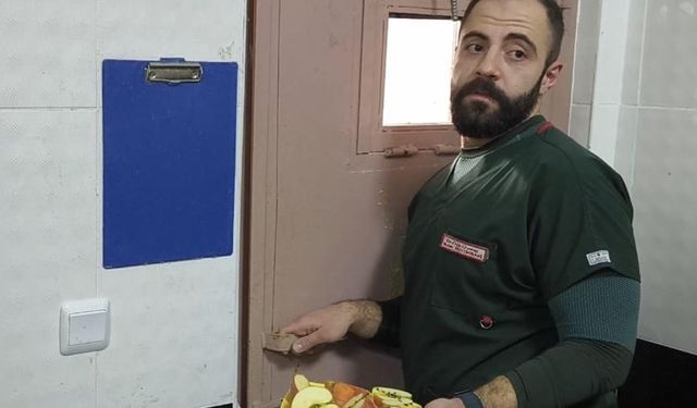 Bitkin Yavru Ayıya Özel Bakım